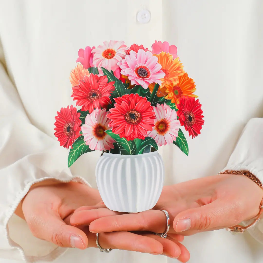 Mini Cheerful Gerberas PetalPal