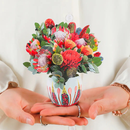 Mini Kirribilli Sunset PetalPal