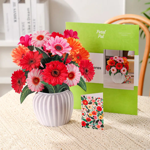 Bouquet pop-up gerberas joyeux