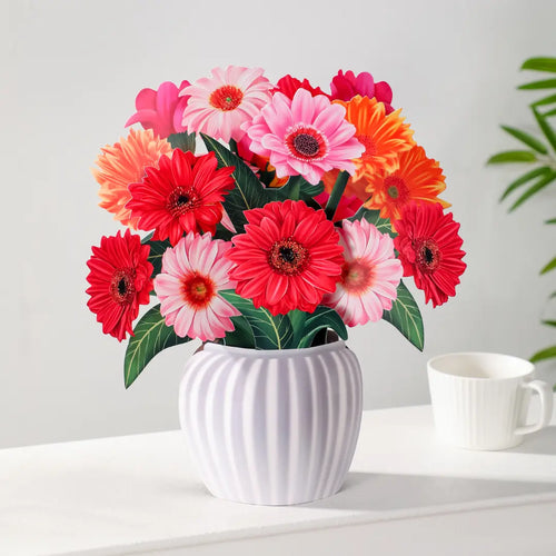 Bouquet pop-up gerberas joyeux
