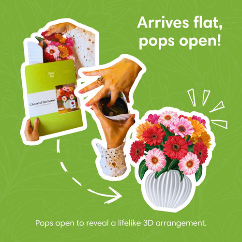 Bouquet pop-up gerberas joyeux