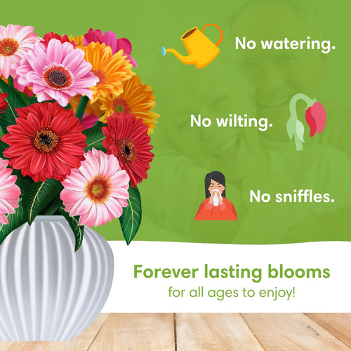 Bouquet pop-up gerberas joyeux