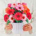 Bouquet pop-up gerberas joyeux