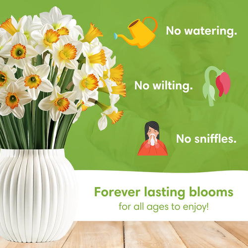 Bouquet pop-up de la jonquille Bloom