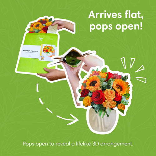 Bouquet pop-up de récolte d'or