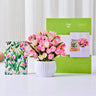 Mini Tulip Kisses Pop-Up Bouquet