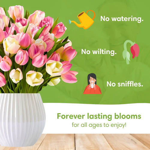 Bisous de tulipes